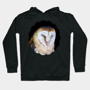 The Barn Owl Hoodie